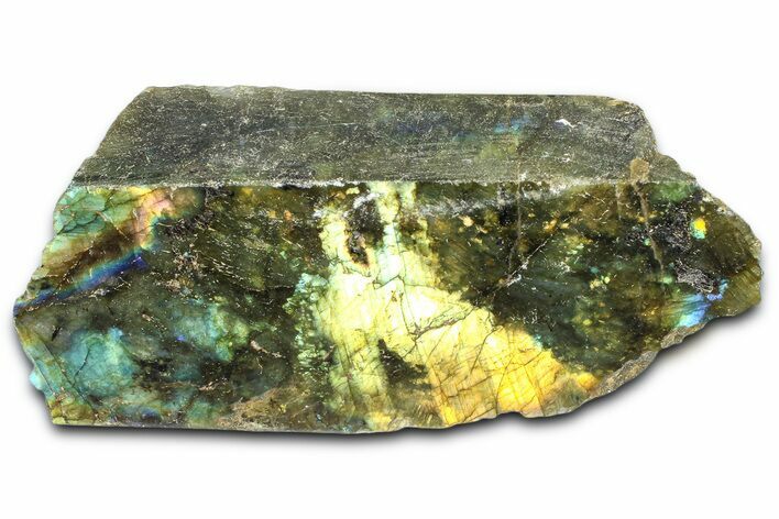 Single Side Polished Labradorite Section - Madagascar #364275